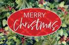 Merry Christmas Holly And Berries Art Print