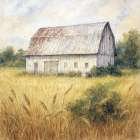 Sandoval Barn Art Print