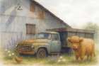 Fluffy Highland on the Farm Art Print