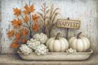 Autumn Arrangement Art Print