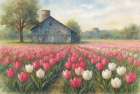 Springtime Tulips Art Print