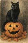 Salems Jack oLantern Art Print