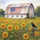 Patriotic Barn in Bloom - for dailies Art Print