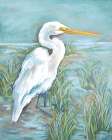 Egret Art Print