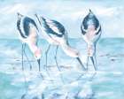 Shorebirds I Art Print