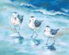 Shorebirds II Art Print