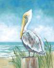 Perched Pelican Art Print