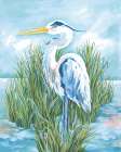Coastal Heron Art Print