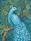 Eye of the Peacock Art Print