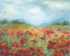 Wild Poppies Art Print