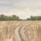 Farm Field Lane Art Print