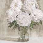Peony Blooms Art Print