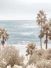 Coastal Dreams I Art Print