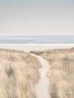 Coastal Dreams II Art Print
