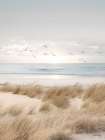 Coastal Dreams V Art Print