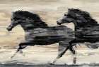 Galloping Horses Art Print