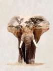Landscape Elephant Fusion Art Print