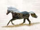 Landscape Horse Fusion Art Print