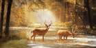 Deer in Fall Art Print