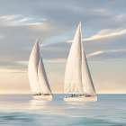 Calm Sail Art Print