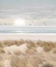 A Touch of Sun Art Print