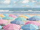 Seaside Sunny Day Art Print
