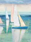 Tranquil Waters I Art Print