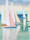 Tranquil Waters II Art Print
