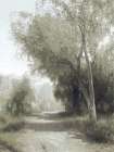 Nature Walkway Art Print