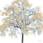 Solitary Splendor Art Print