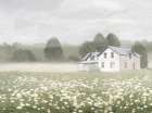 The Daisy House Art Print