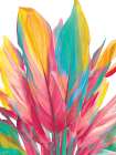 Colorful Tropical Leaves Art Print