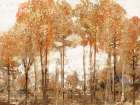 Autumn Forest Fire of Color Art Print