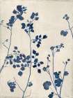 Botanical Blueprint Minimalist Print