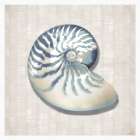 Oceans Spiral Wonder Art Print