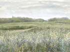 Quiet Meadow Path Art Print