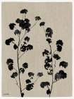 Ink Garden I Art Print