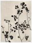 Ink Garden II Art Print
