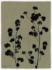 Shadow Branches I Art Print