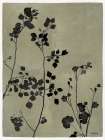 Shadow Branches II Art Print
