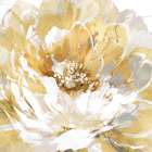 Golden Petals I Art Print