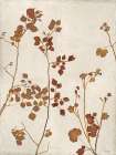 Shades of Rust Art Print