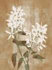 Earthy Blooms Art Print