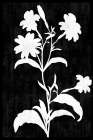 Inverted Garden II Art Print