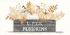 U-Pick Pumpkins Art Print
