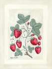 Sweet Summer Strawberries I Art Print