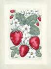 Sweet Summer Strawberries II Art Print