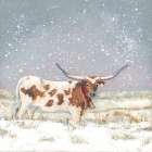 Longhorn Holiday Art Print