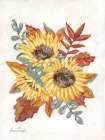 Sunflower Fall Foliage Art Print