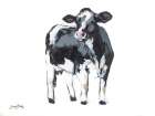 Dairy Cow 2 Art Print